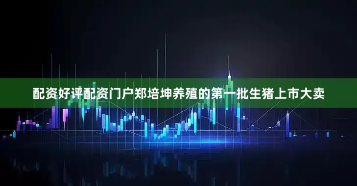 配资好评配资门户郑培坤养殖的第一批生猪上市大卖