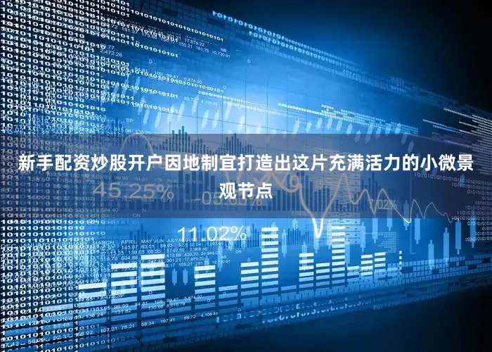 新手配资炒股开户因地制宜打造出这片充满活力的小微景观节点